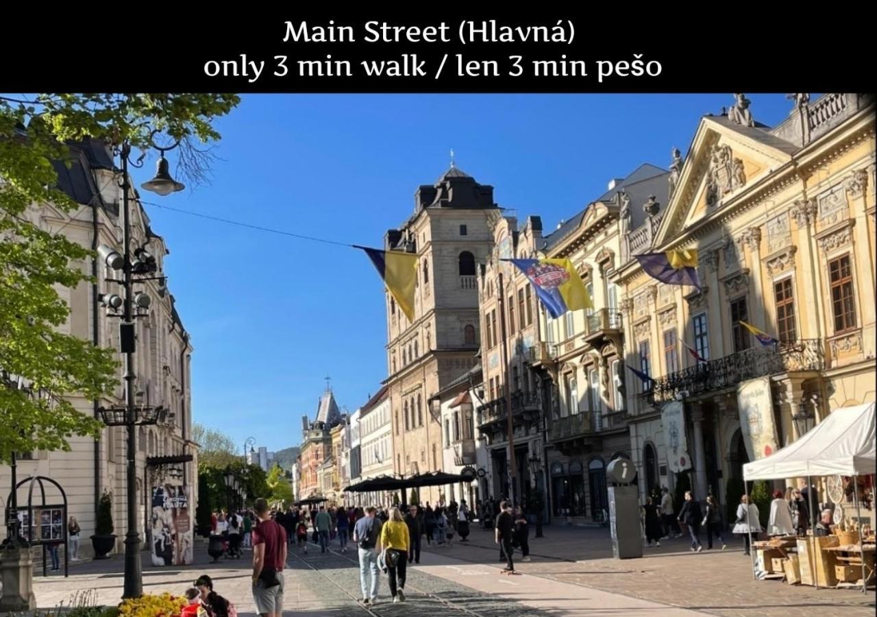 E1 Luxury Oldtown Apt - 2X Parking, Foodstore, Pcscreen, Netflix, Unlimited Music, Crib, Babychair, Fastwifi, Aircon Кошице Экстерьер фото